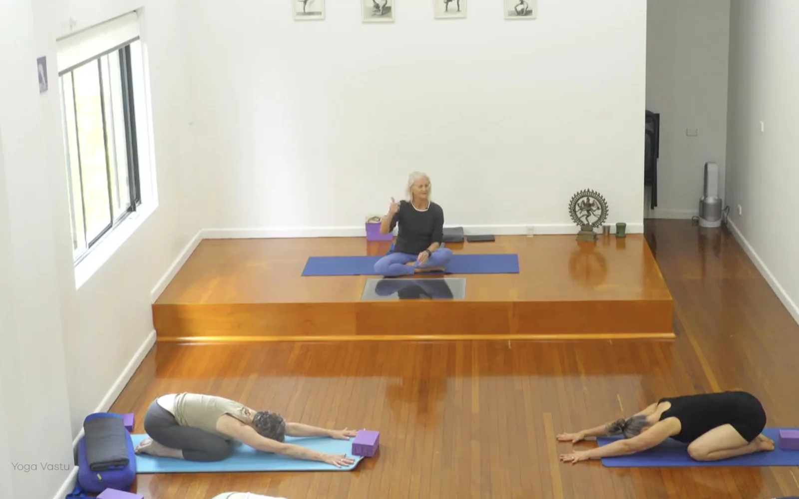 Online Iyengar yoga videos | Advanced Class 5: Practising Basic Actions in Standing Poses