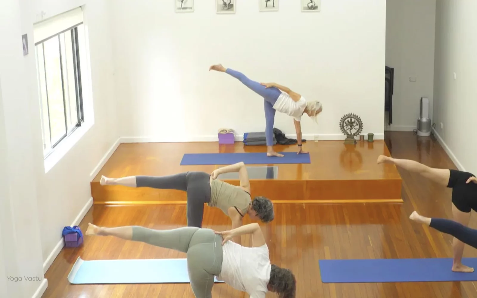 Online Iyengar yoga videos | Advanced Class 5: Practising Basic Actions in Standing Poses