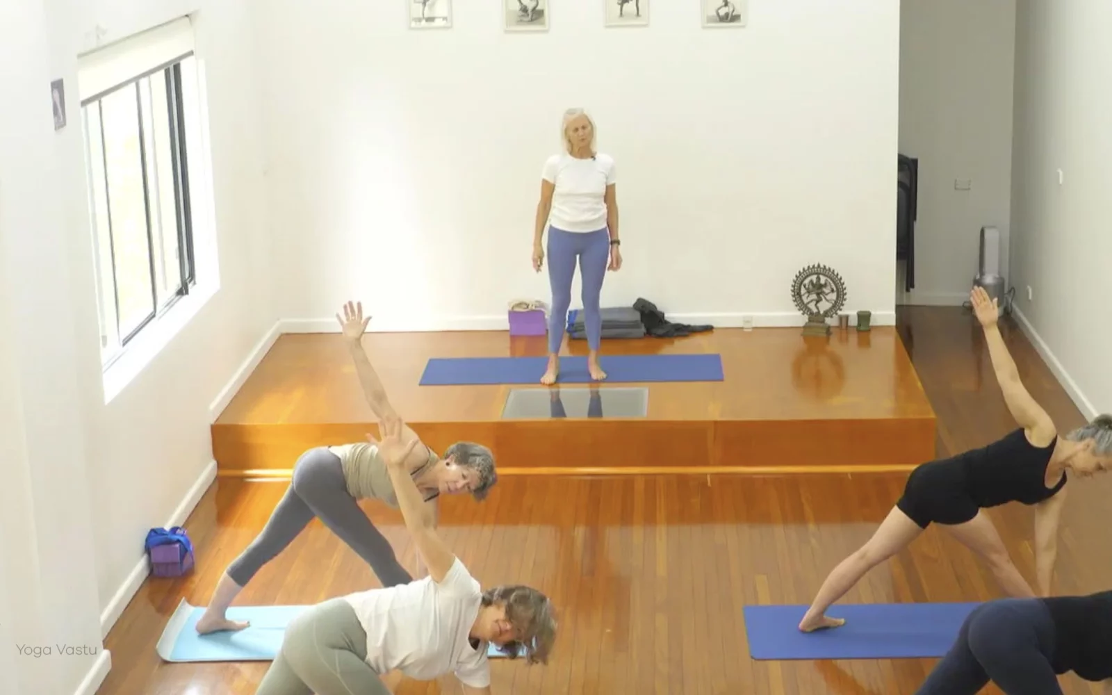 Online Iyengar yoga videos | Advanced Class 5: Practising Basic Actions in Standing Poses
