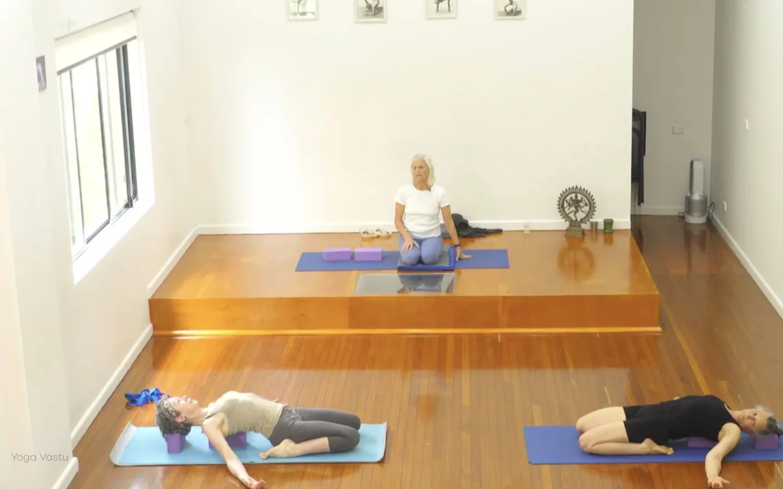 Online Iyengar yoga videos | Advanced Class 5: Practising Basic Actions in Standing Poses