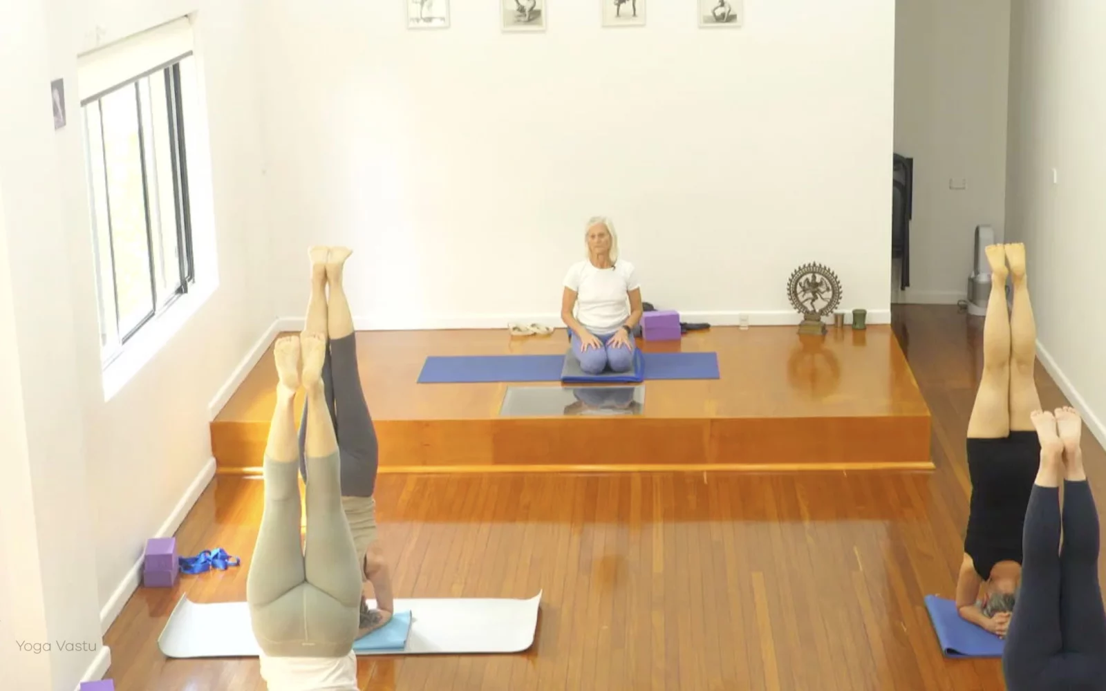 Online Iyengar yoga videos | Advanced Class 5: Practising Basic Actions in Standing Poses