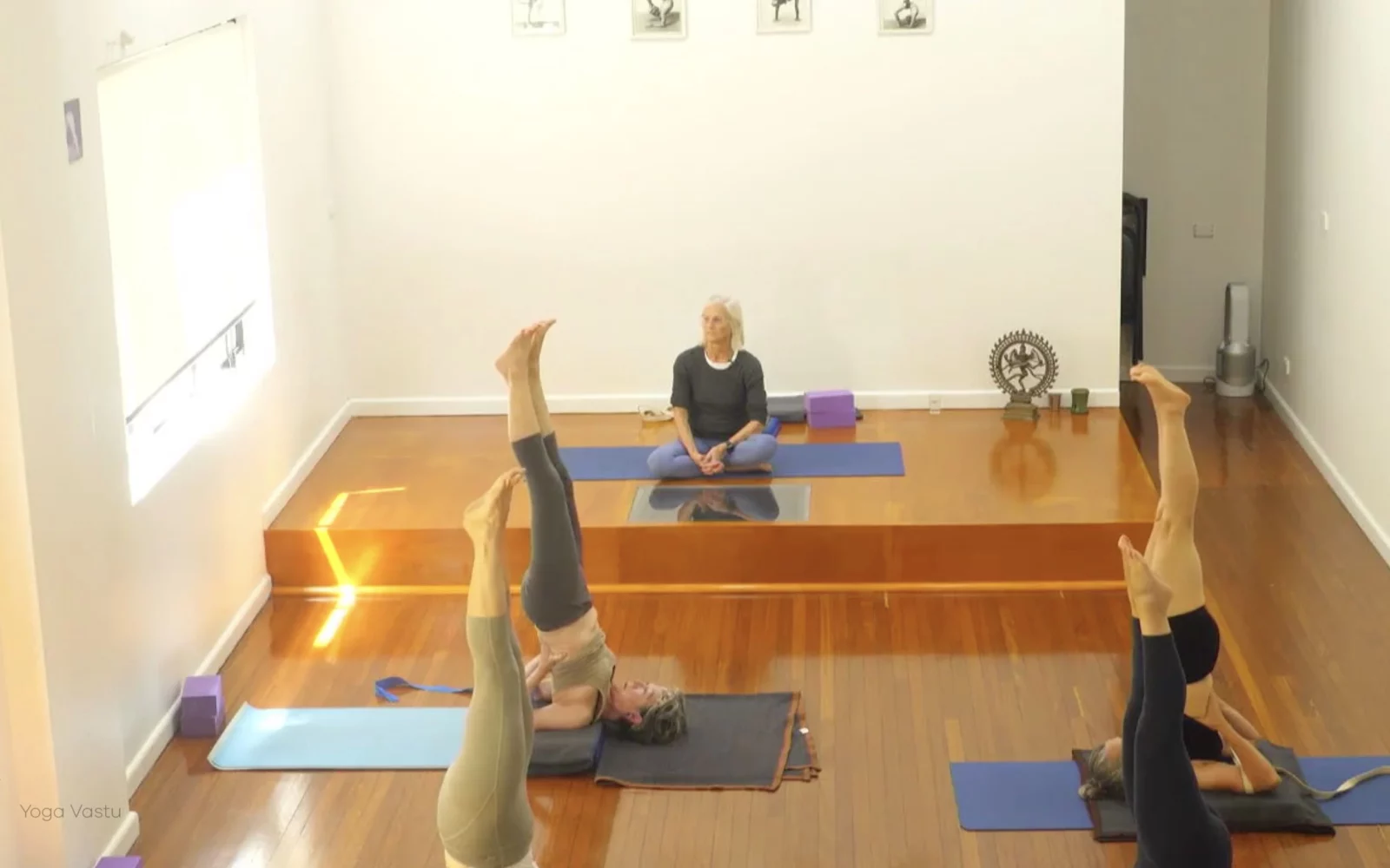 Online Iyengar yoga videos | Advanced Class 5: Practising Basic Actions in Standing Poses