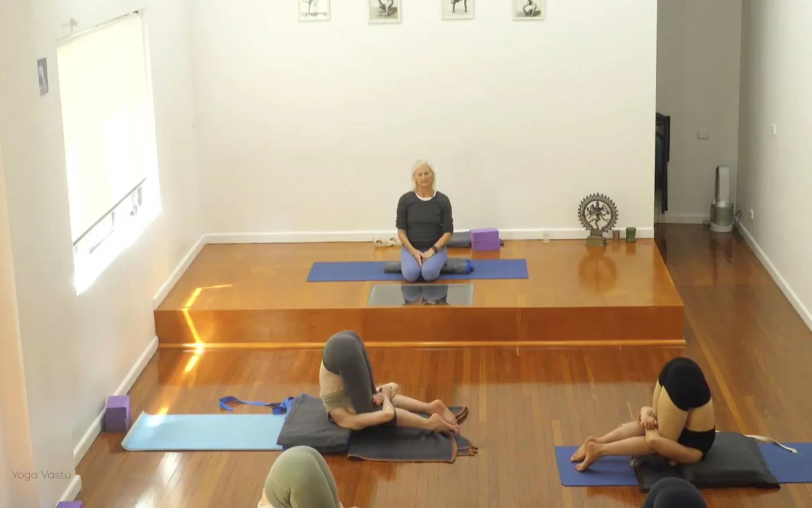 Online Iyengar yoga videos | Advanced Class 5: Practising Basic Actions in Standing Poses