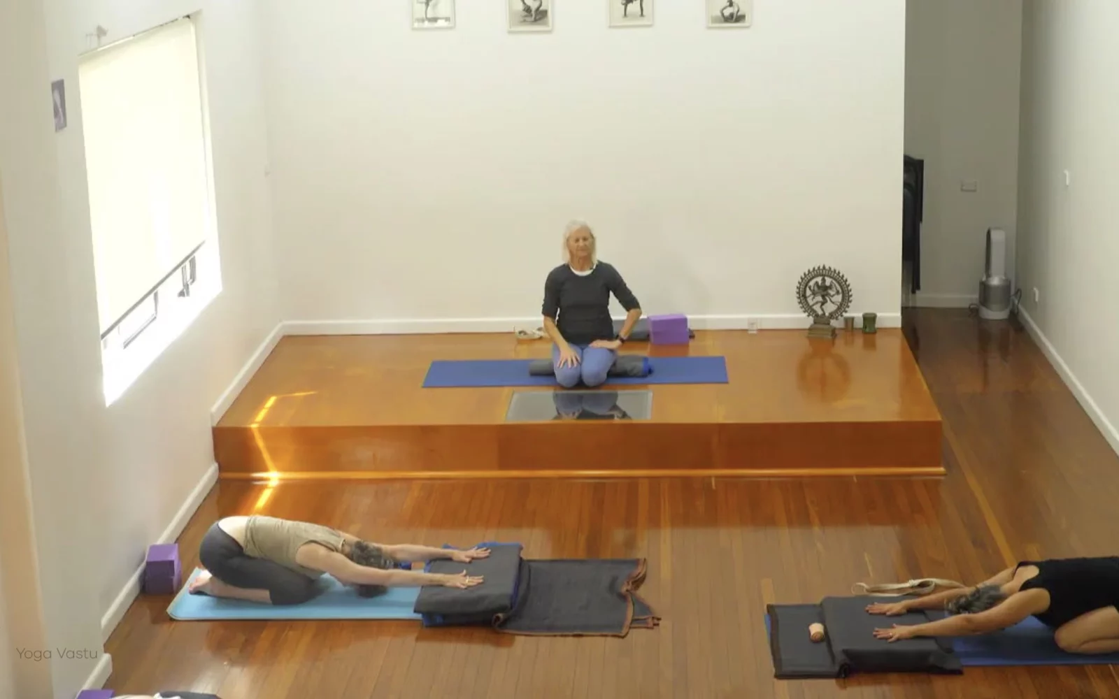 Online Iyengar yoga videos | Advanced Class 5: Practising Basic Actions in Standing Poses