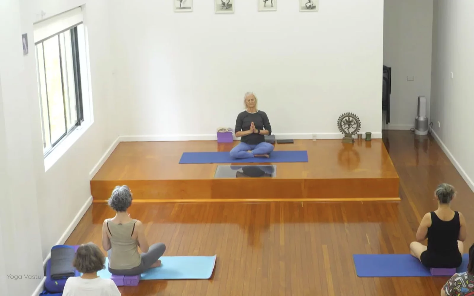 Online Iyengar yoga videos | Advanced Class 5: Practising Basic Actions in Standing Poses