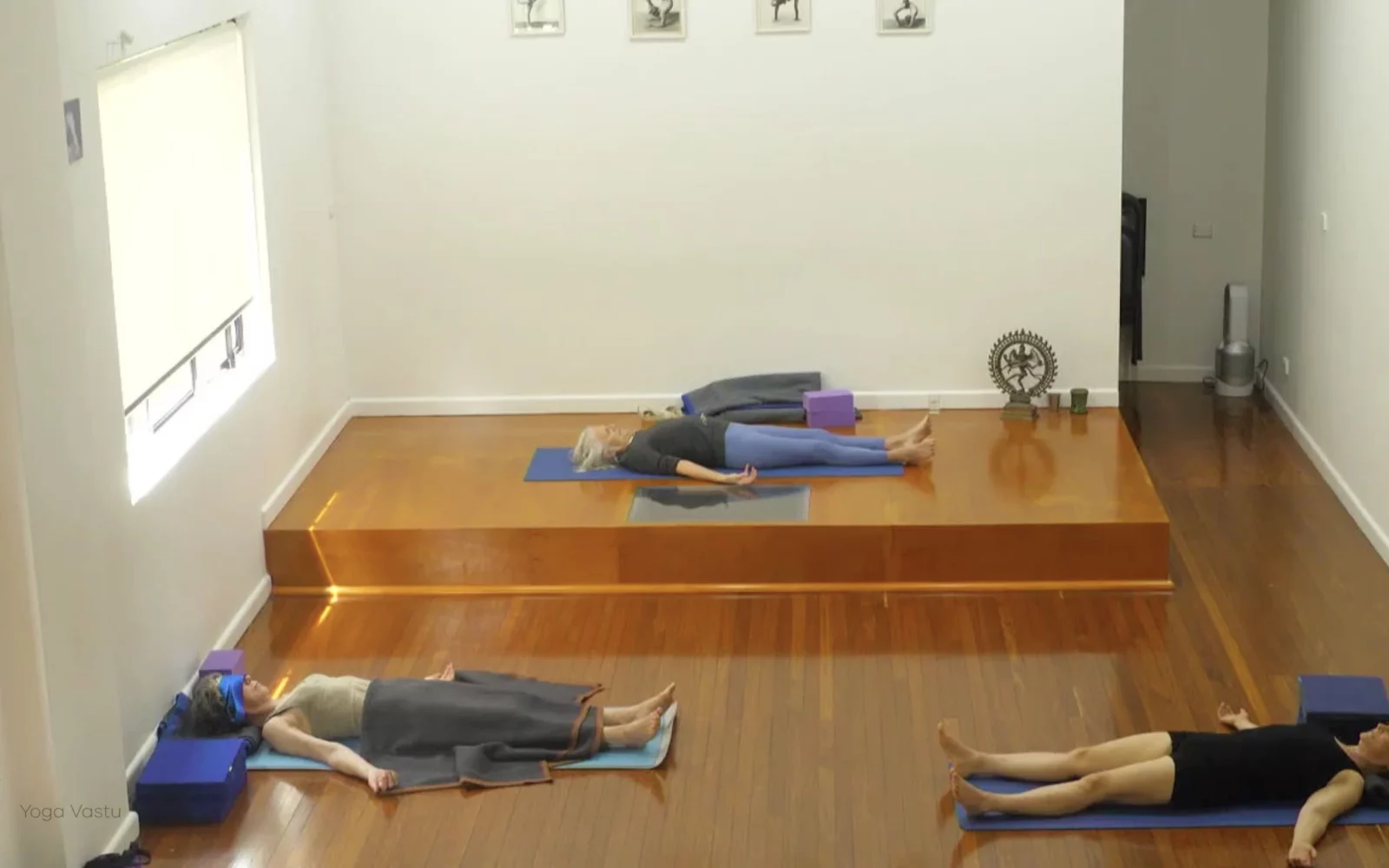 Online Iyengar yoga videos | Advanced Class 5: Practising Basic Actions in Standing Poses