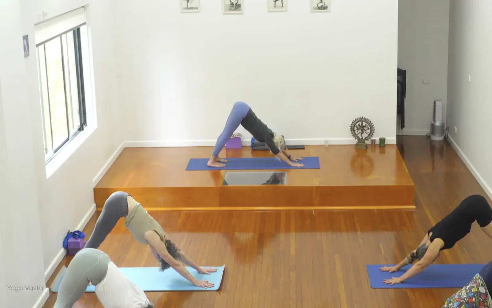 Online Iyengar yoga videos | Advanced Class 5: Practising Basic Actions in Standing Poses