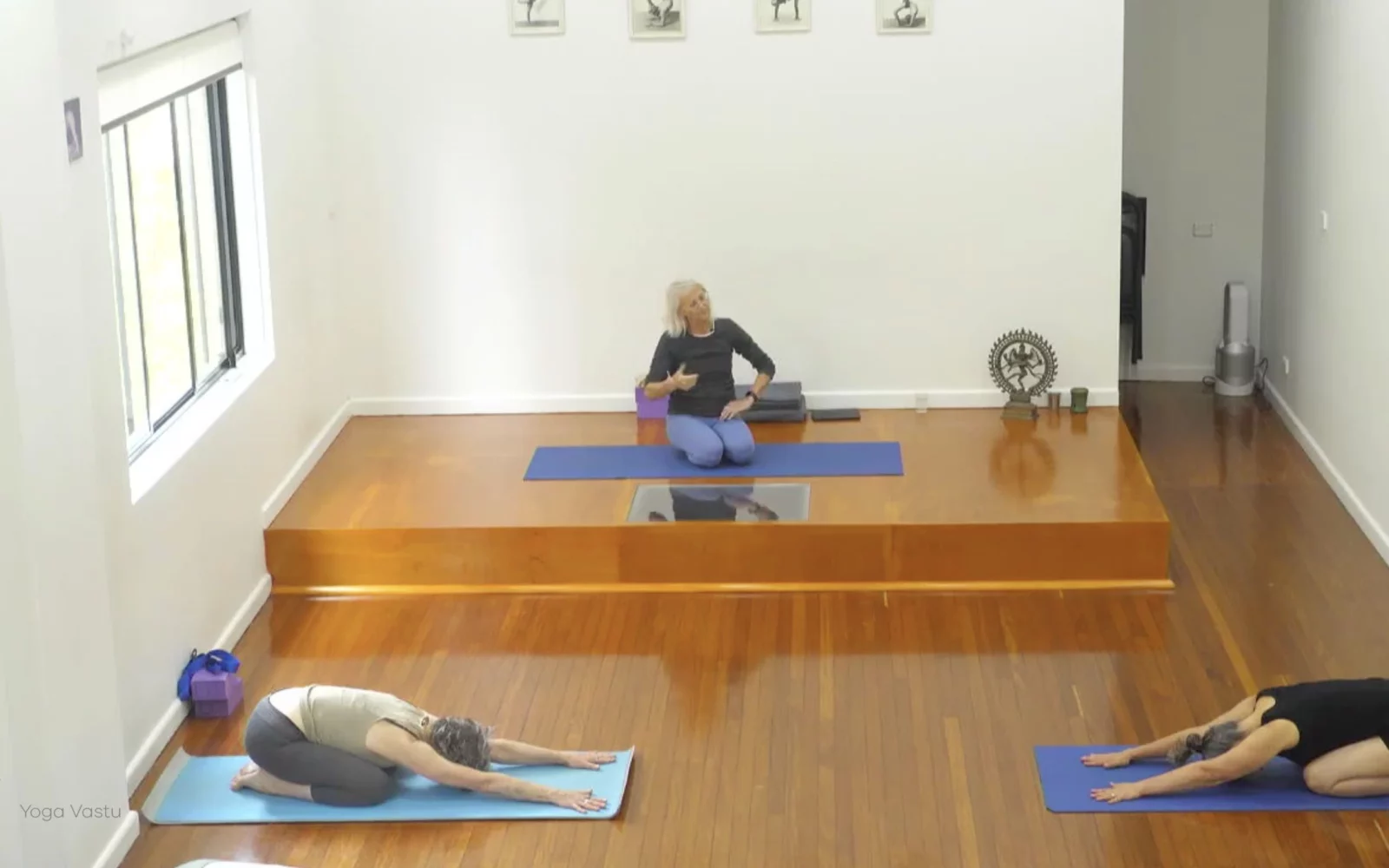 Online Iyengar yoga videos | Advanced Class 5: Practising Basic Actions in Standing Poses