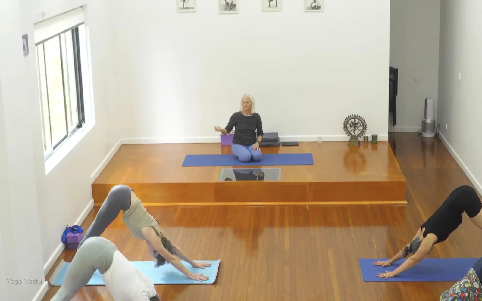 Online Iyengar yoga videos | Advanced Class 5: Practising Basic Actions in Standing Poses