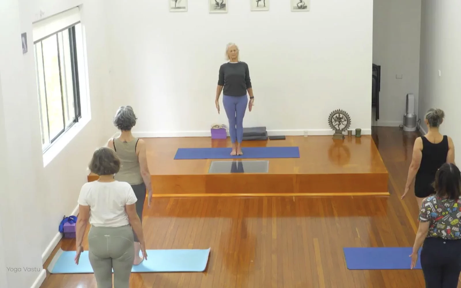 Online Iyengar yoga videos | Advanced Class 5: Practising Basic Actions in Standing Poses
