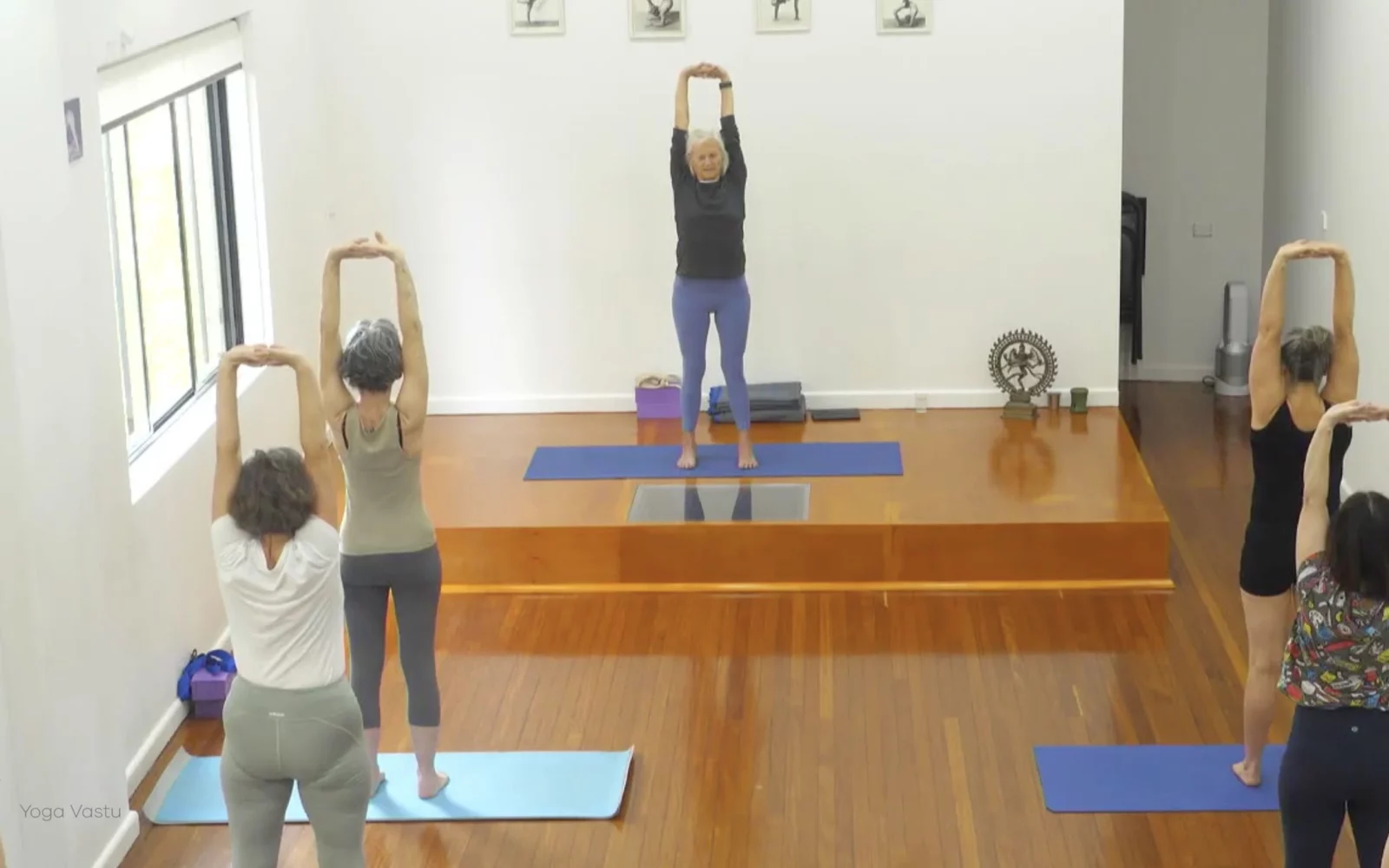 Online Iyengar yoga videos | Advanced Class 5: Practising Basic Actions in Standing Poses