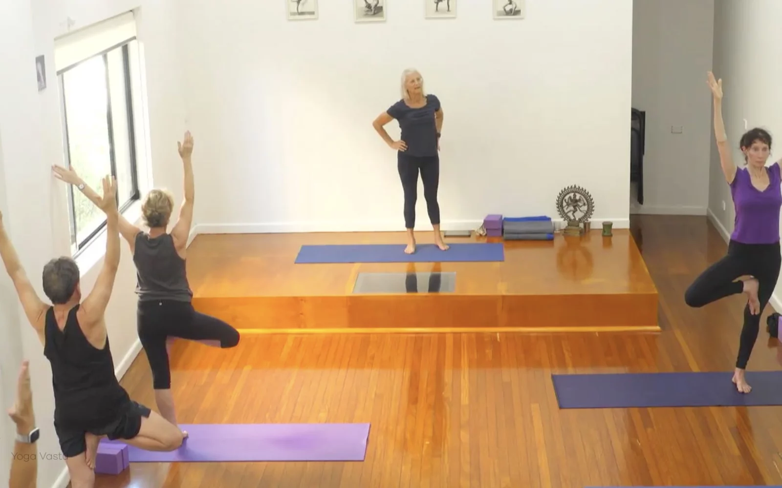 Online Iyengar yoga videos | Class 8: Levelling Out the Sides with Wall Support