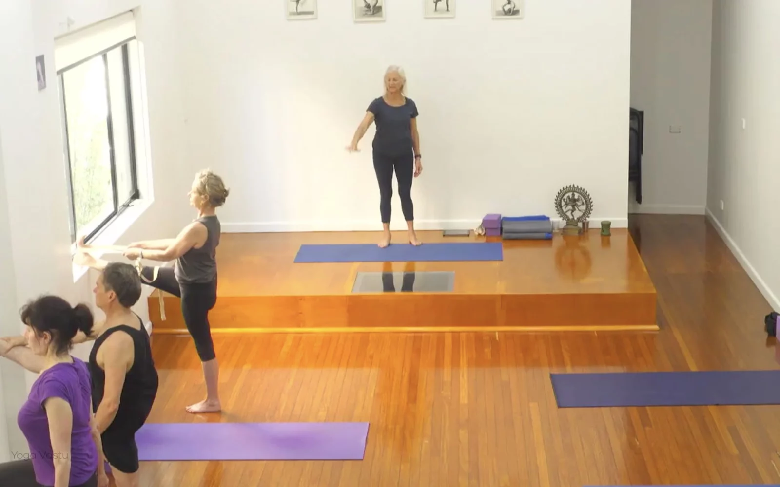 Online Iyengar yoga videos | Class 8: Levelling Out the Sides with Wall Support