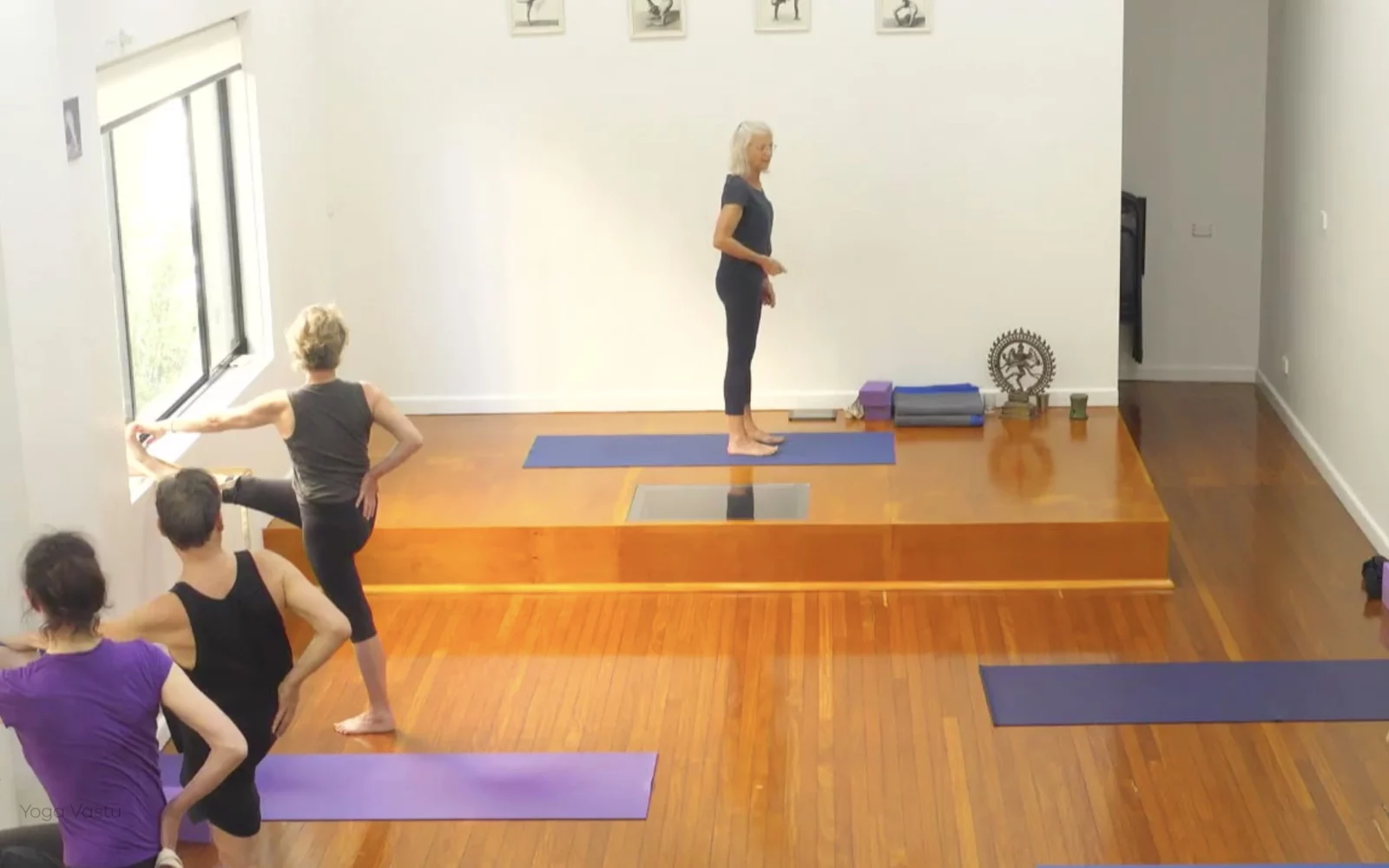 Online Iyengar yoga videos | Class 8: Levelling Out the Sides with Wall Support