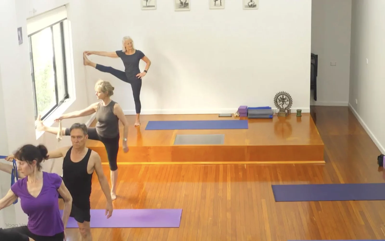 Online Iyengar yoga videos | Class 8: Levelling Out the Sides with Wall Support