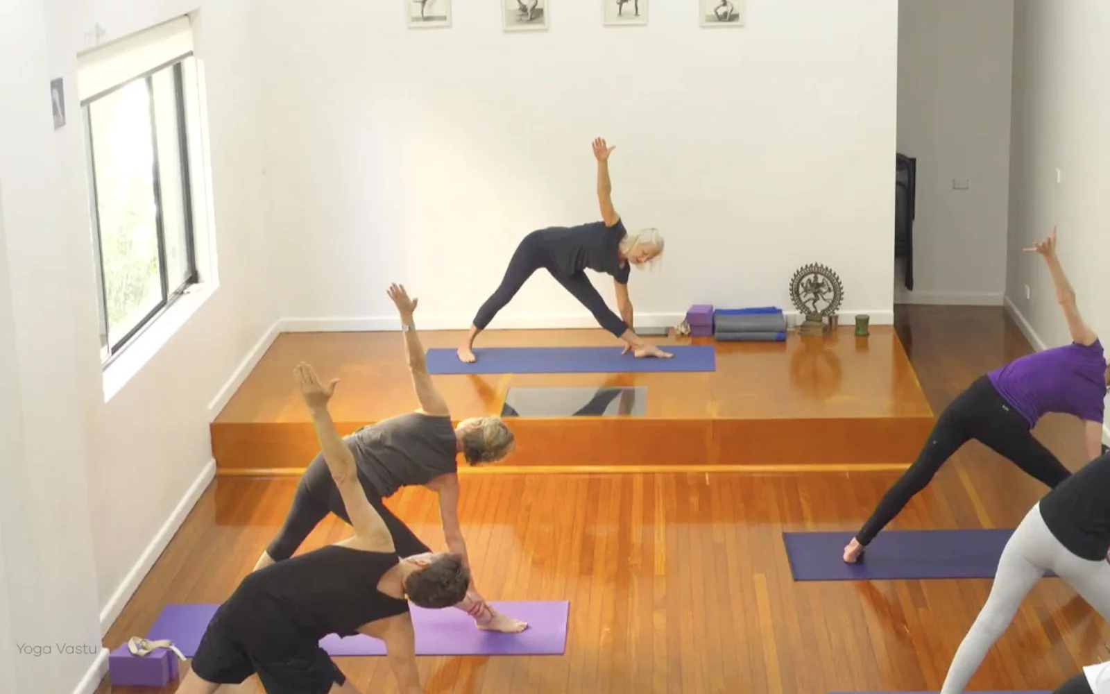 Online Iyengar yoga videos | Class 8: Levelling Out the Sides with Wall Support