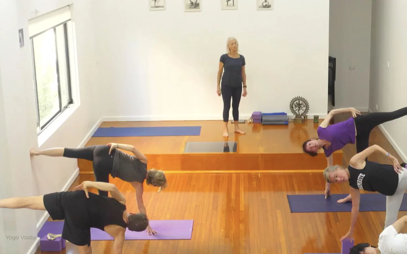 Online Iyengar yoga videos | Class 8: Levelling Out the Sides with Wall Support