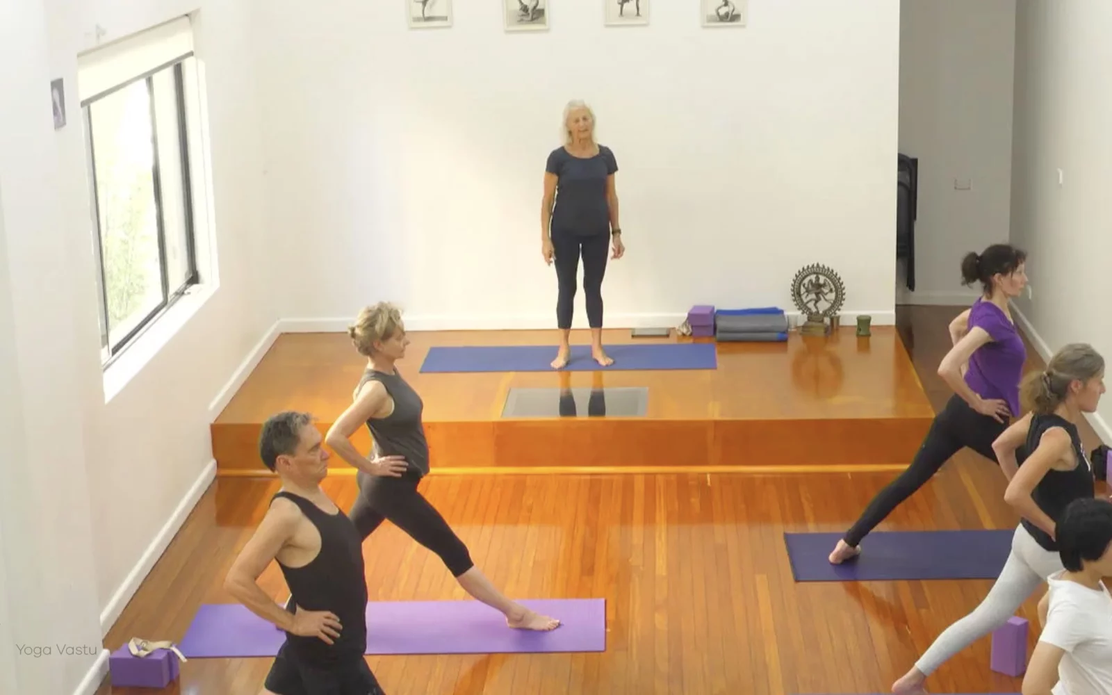 Online Iyengar yoga videos | Class 8: Levelling Out the Sides with Wall Support