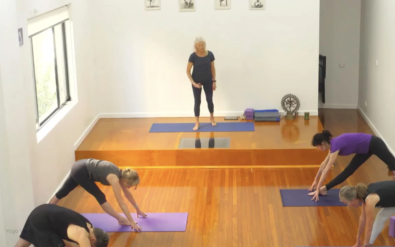 Online Iyengar yoga videos | Class 8: Levelling Out the Sides with Wall Support
