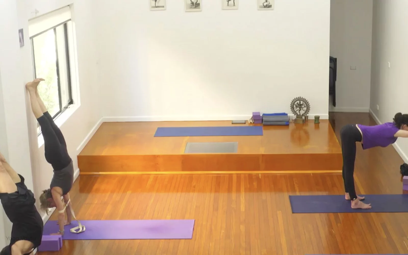 Online Iyengar yoga videos | Class 8: Levelling Out the Sides with Wall Support