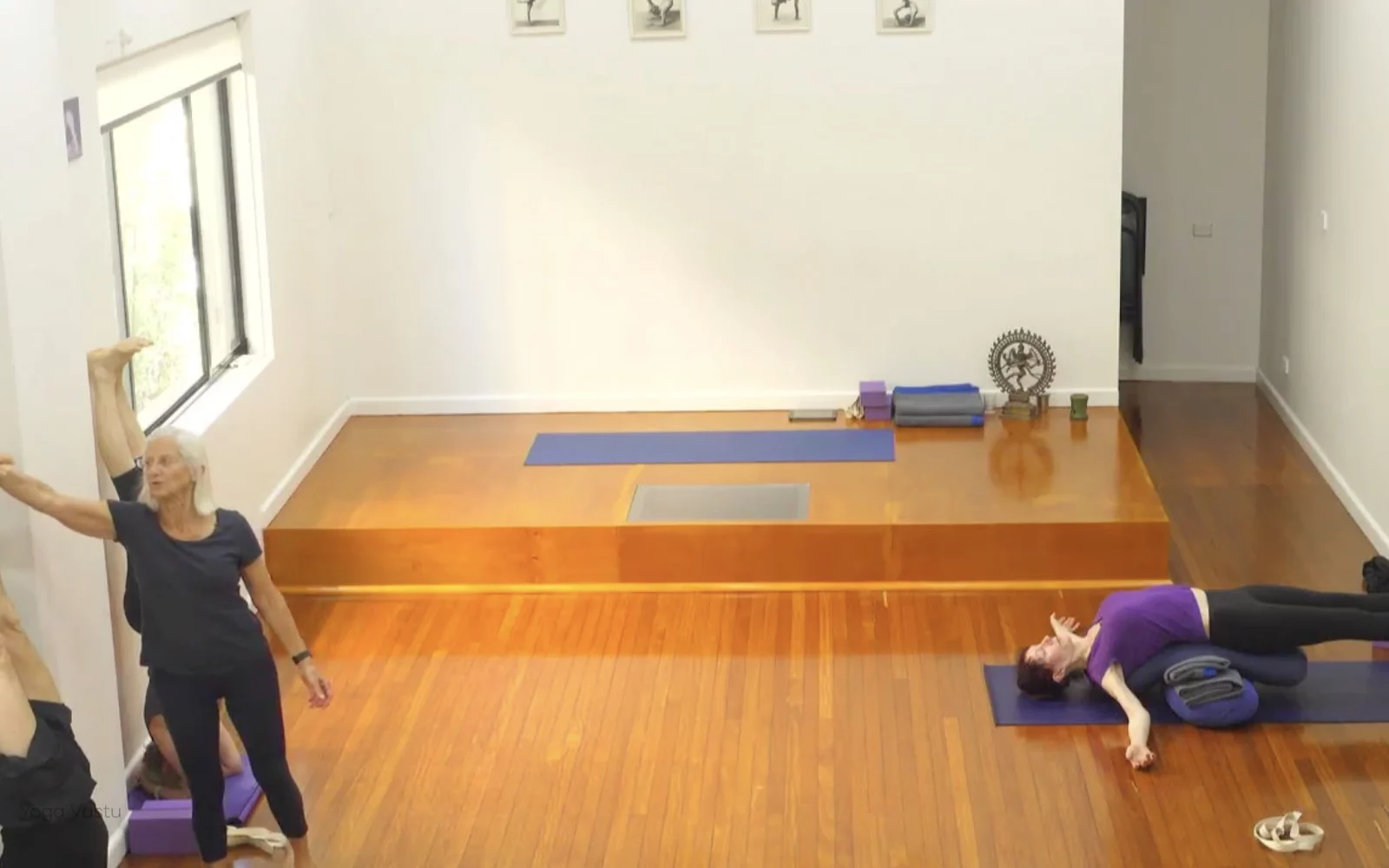 Online Iyengar yoga videos | Class 8: Levelling Out the Sides with Wall Support