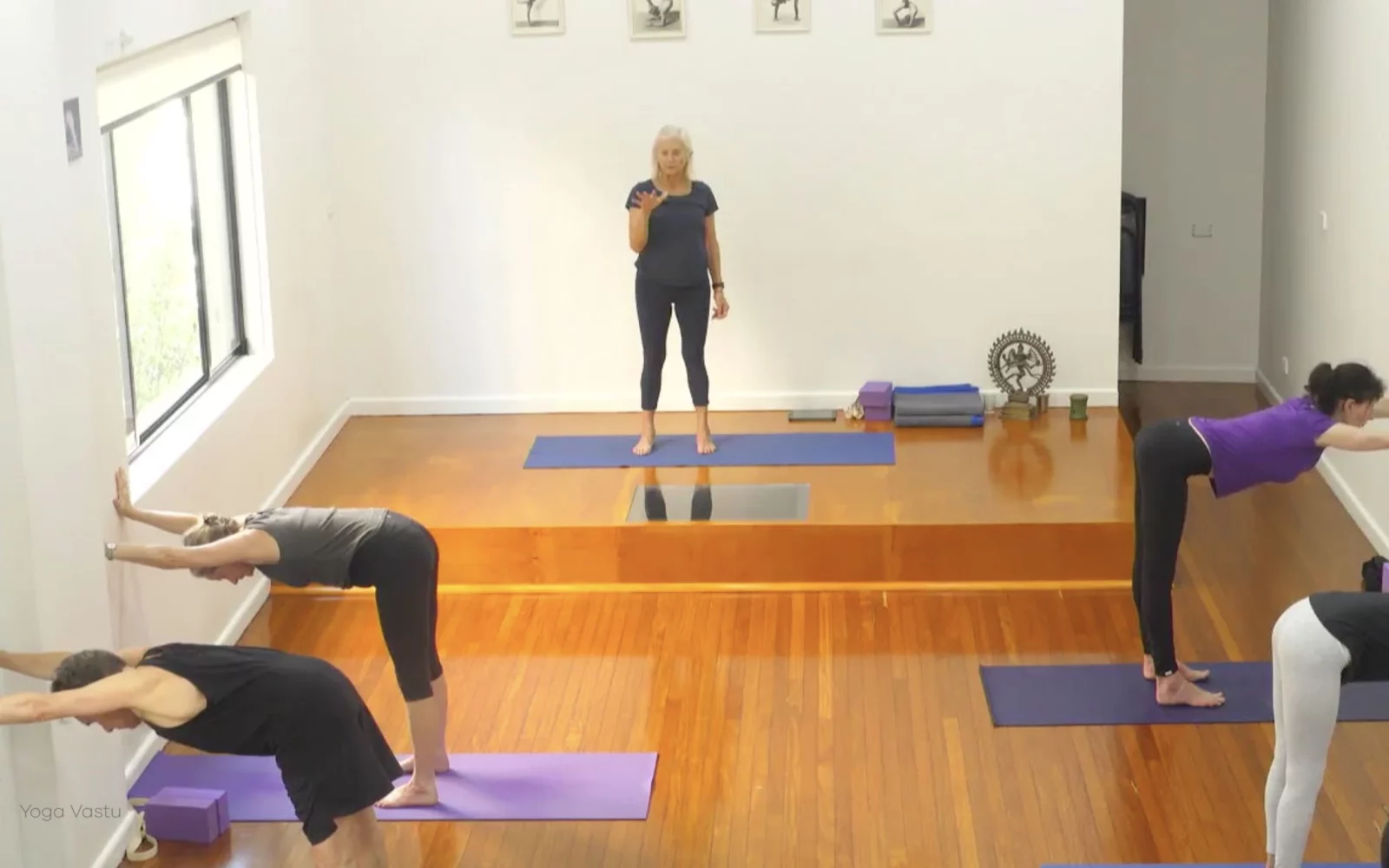 Online Iyengar yoga videos | Class 8: Levelling Out the Sides with Wall Support