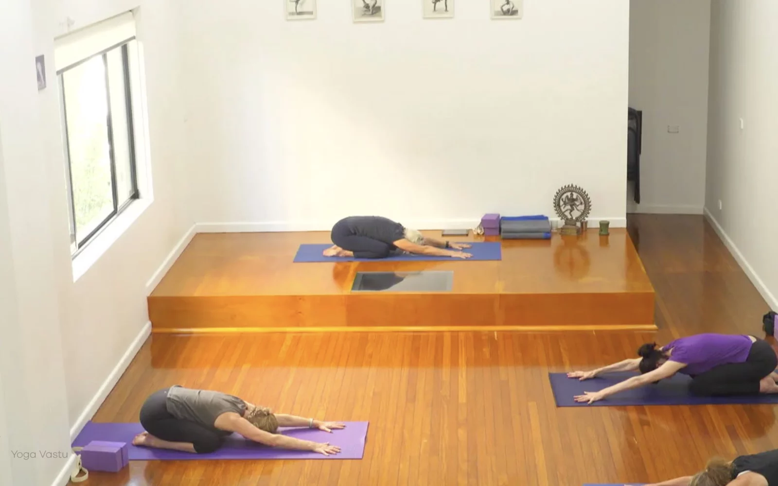 Online Iyengar yoga videos | Class 8: Levelling Out the Sides with Wall Support