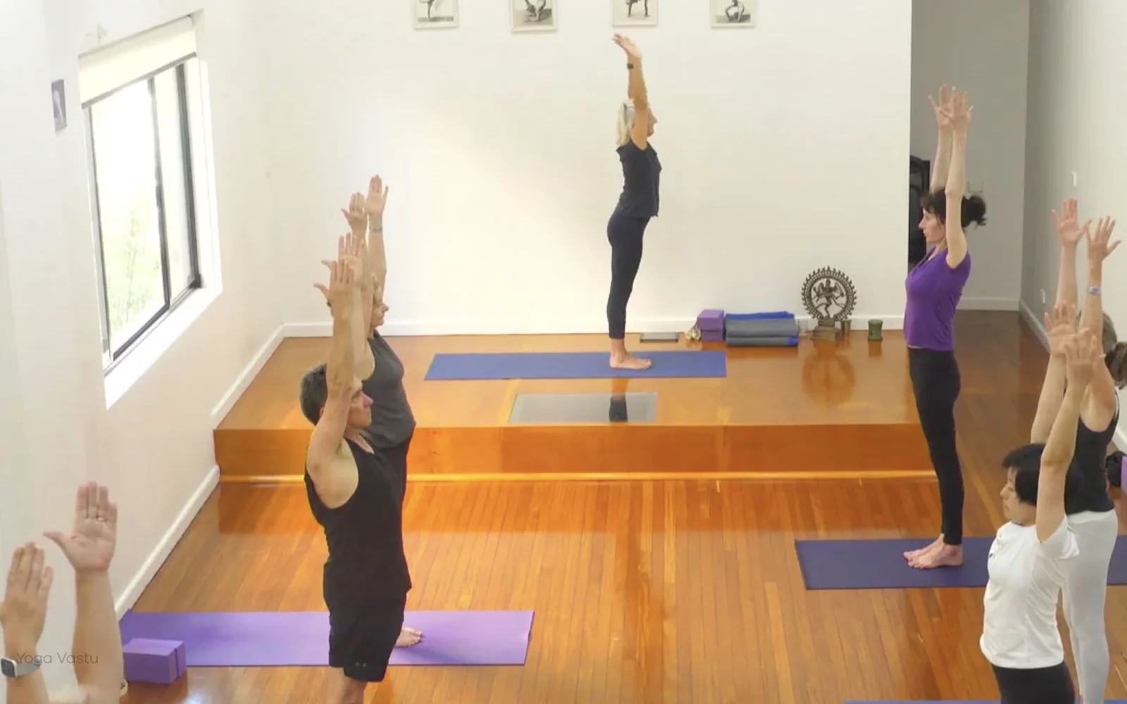 Online Iyengar yoga videos | Class 8: Levelling Out the Sides with Wall Support