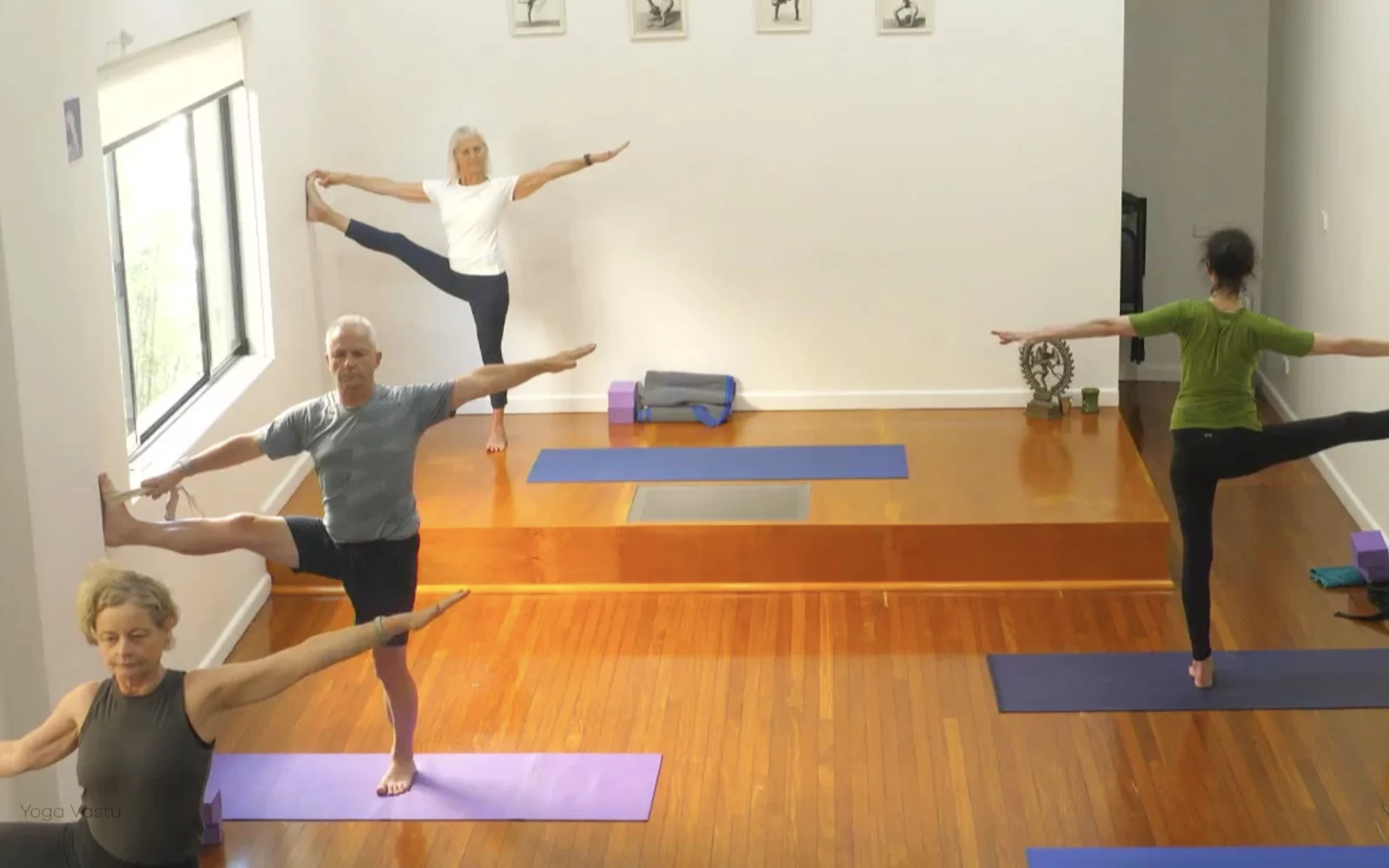 Online Iyengar yoga videos | Level 3 Class 9: Increasing Capacity in Standing Poses