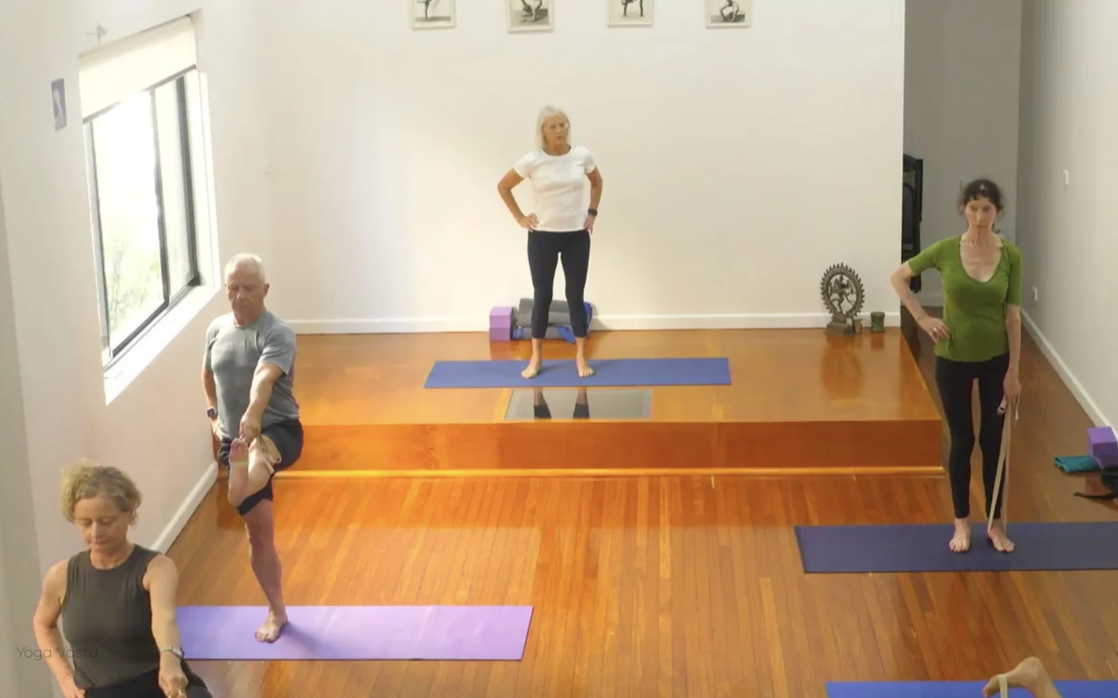 Online Iyengar yoga videos | Level 3 Class 9: Increasing Capacity in Standing Poses