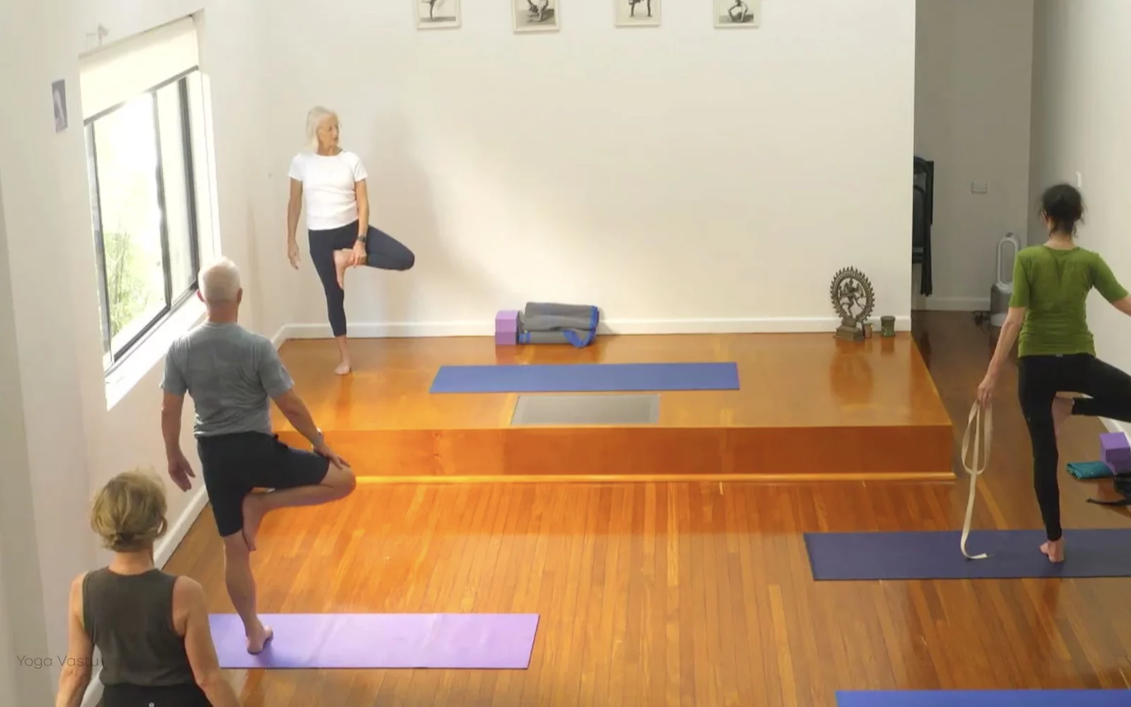 Online Iyengar yoga videos | Level 3 Class 9: Increasing Capacity in Standing Poses