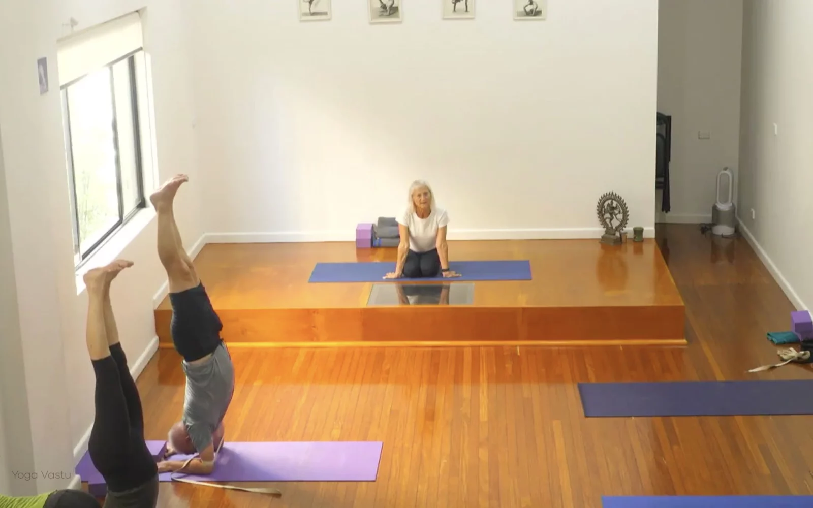 Online Iyengar yoga videos | Level 3 Class 9: Increasing Capacity in Standing Poses