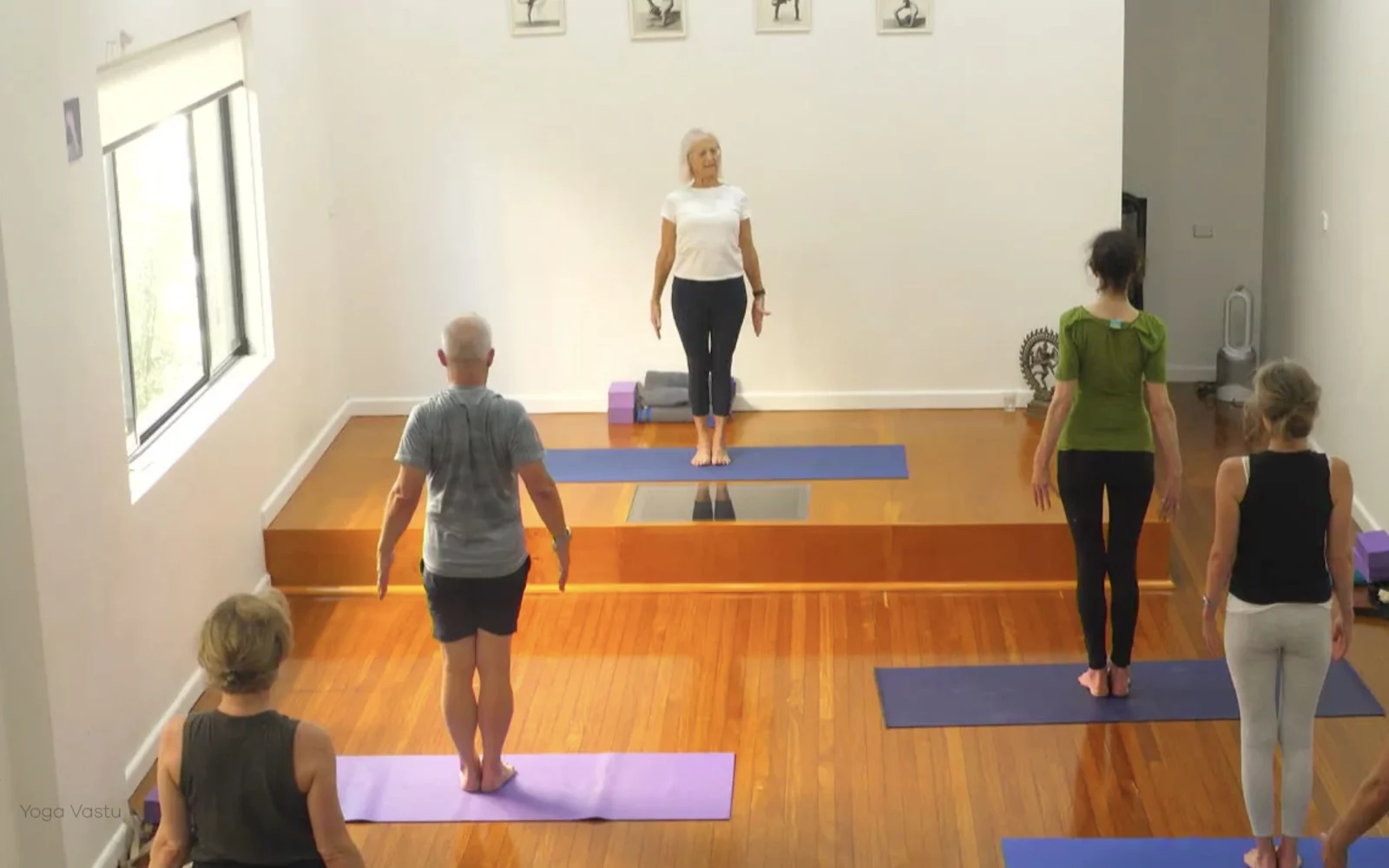 Online Iyengar yoga videos | Level 3 Class 9: Increasing Capacity in Standing Poses