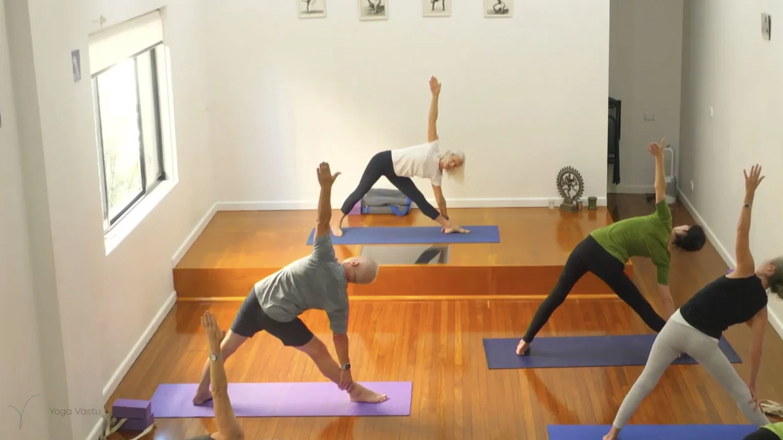 Level 3 Class 9: Increasing Capacity in Standing Poses