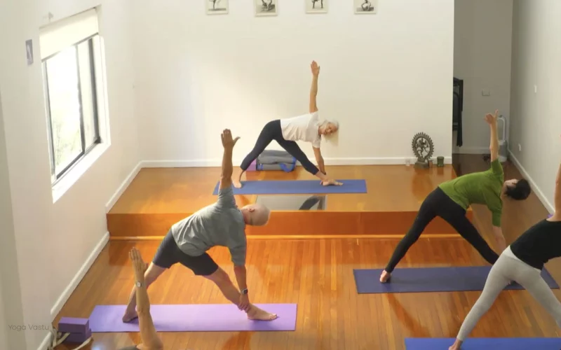Level 3 Class 9: Increasing Capacity in Standing Poses