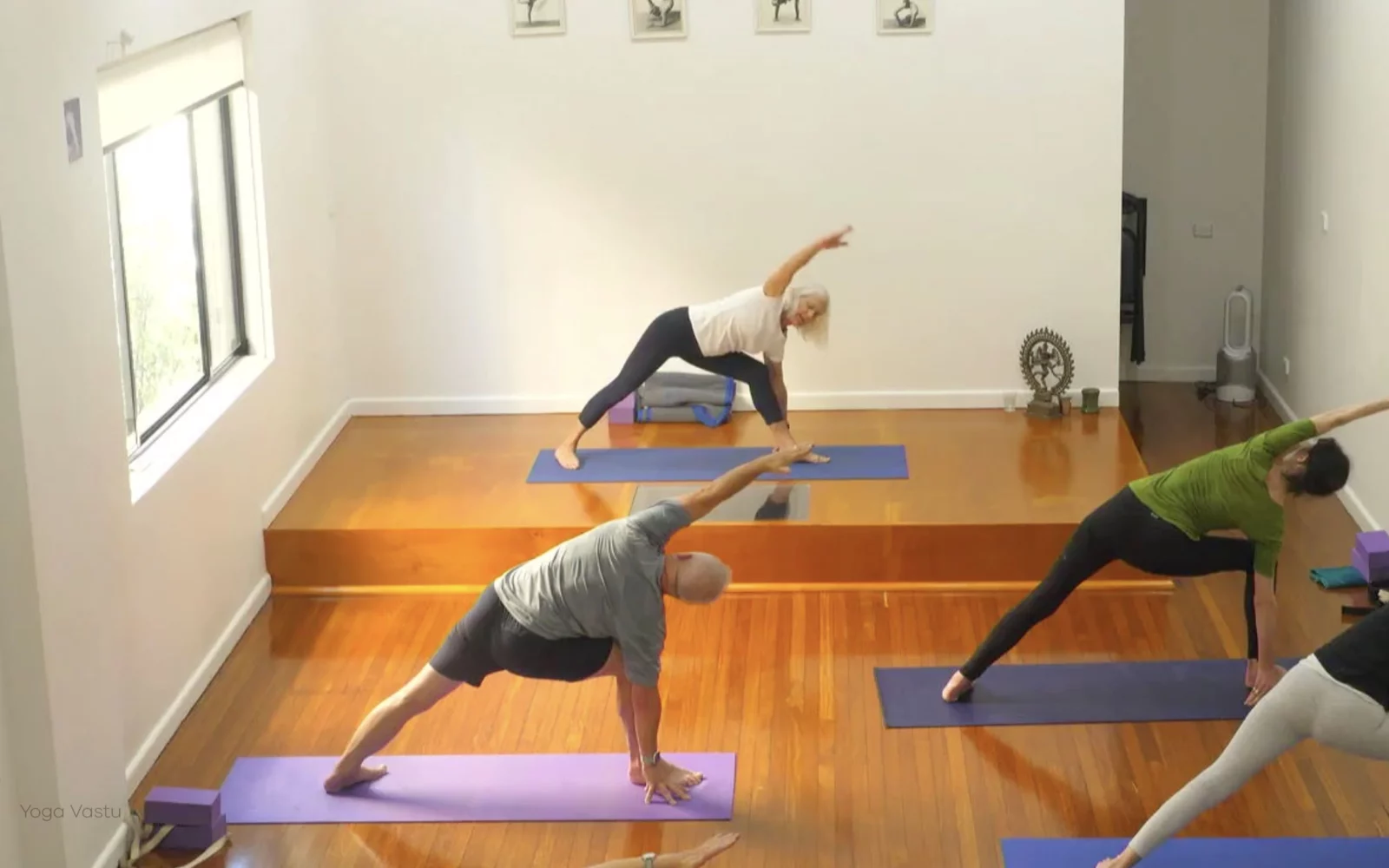 Online Iyengar yoga videos | Level 3 Class 9: Increasing Capacity in Standing Poses