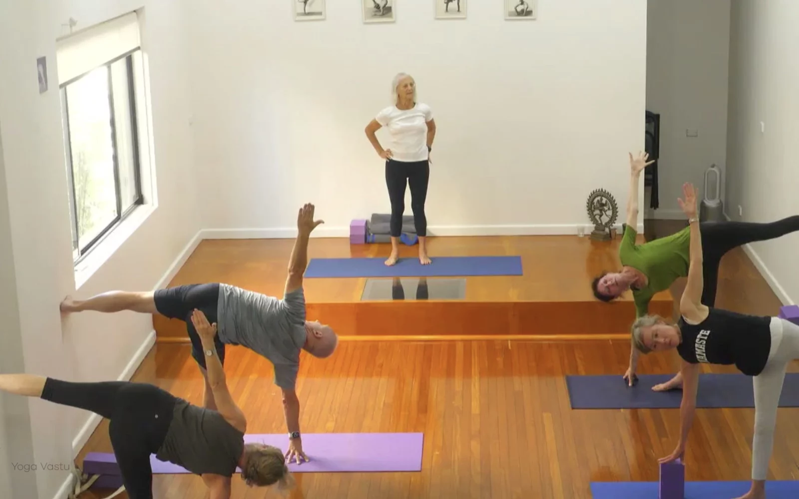 Online Iyengar yoga videos | Level 3 Class 9: Increasing Capacity in Standing Poses