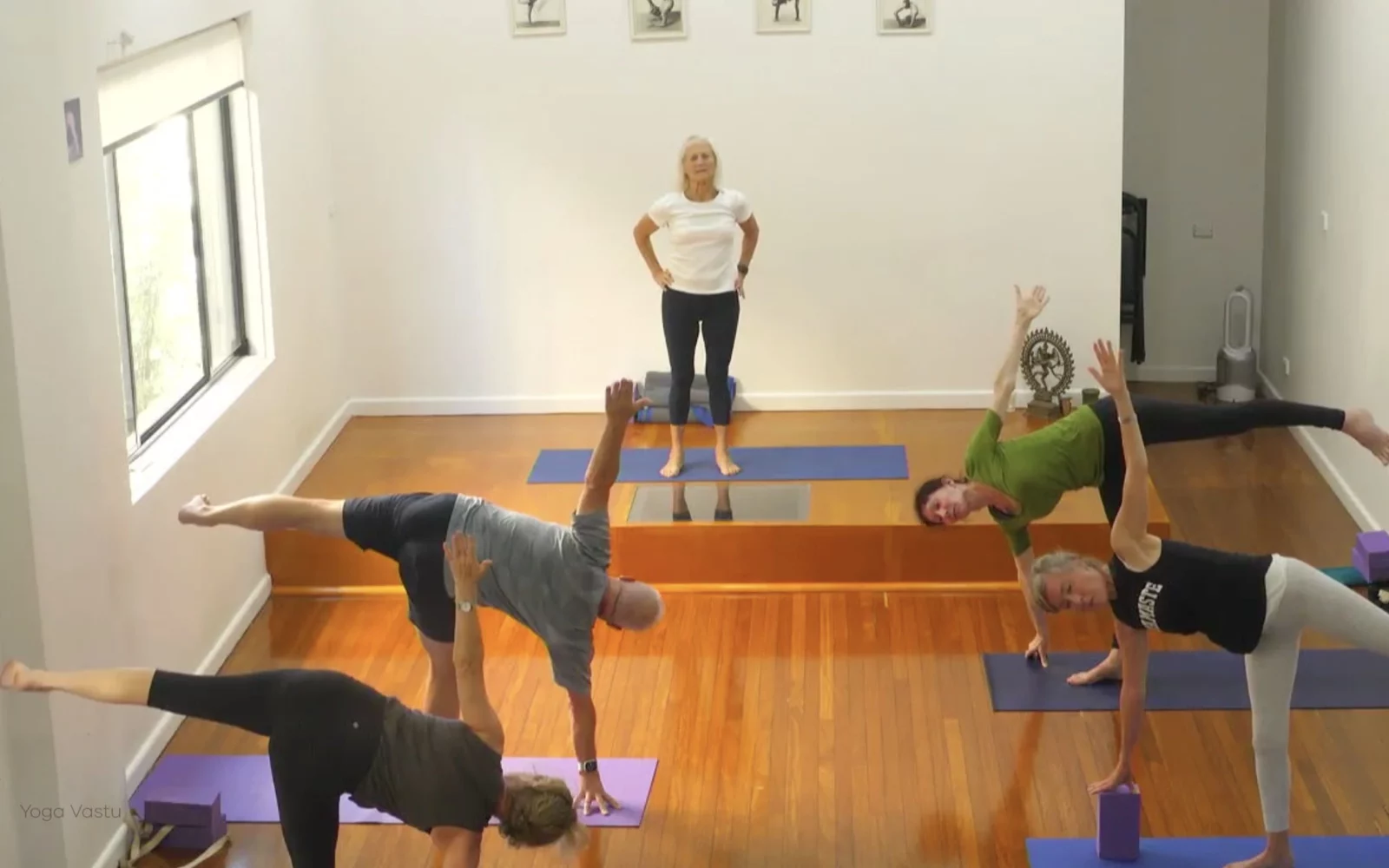 Online Iyengar yoga videos | Level 3 Class 9: Increasing Capacity in Standing Poses