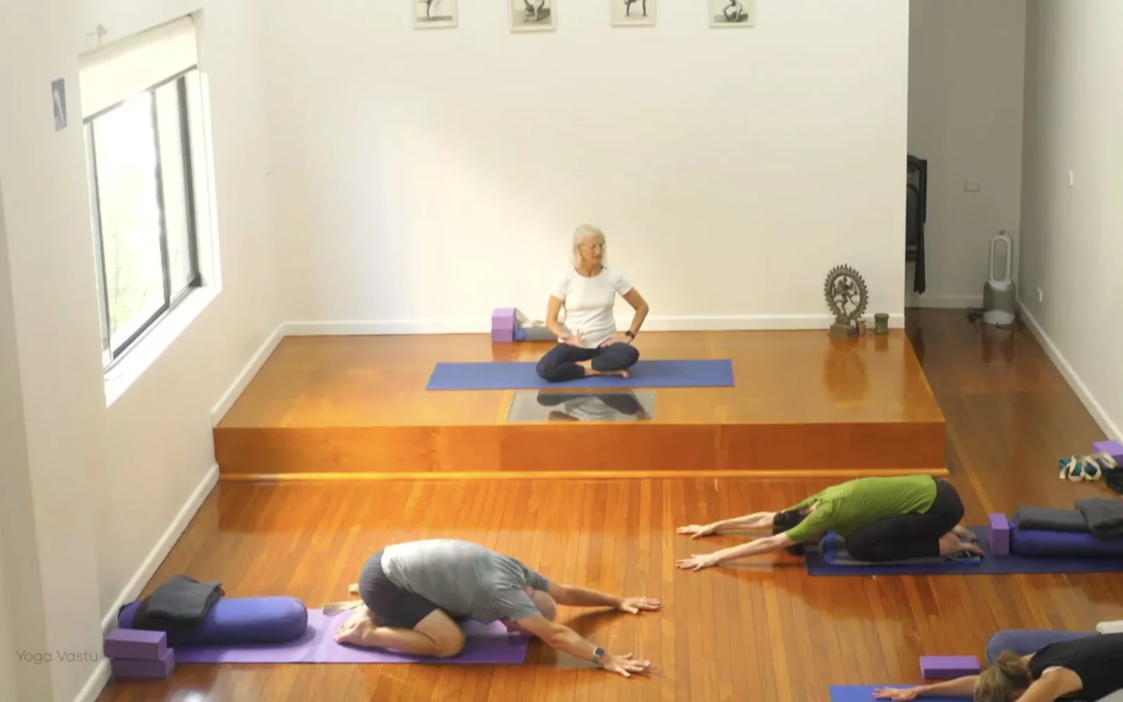 Online Iyengar yoga videos | Level 3 Class 9: Increasing Capacity in Standing Poses