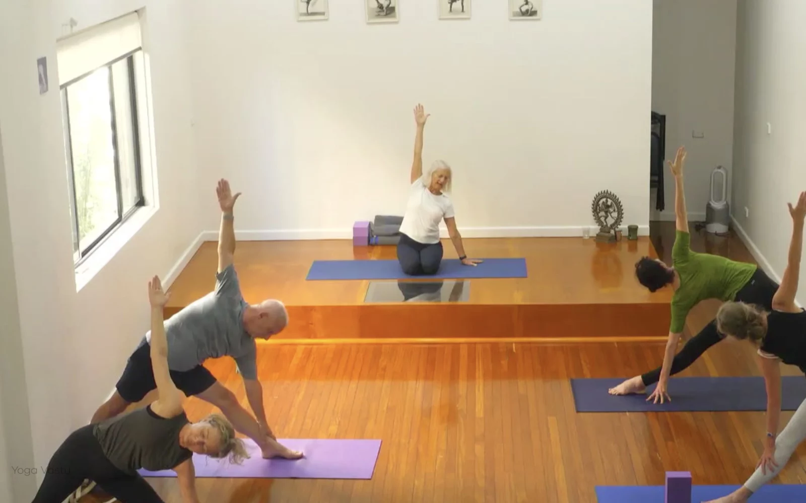Online Iyengar yoga videos | Level 3 Class 9: Increasing Capacity in Standing Poses