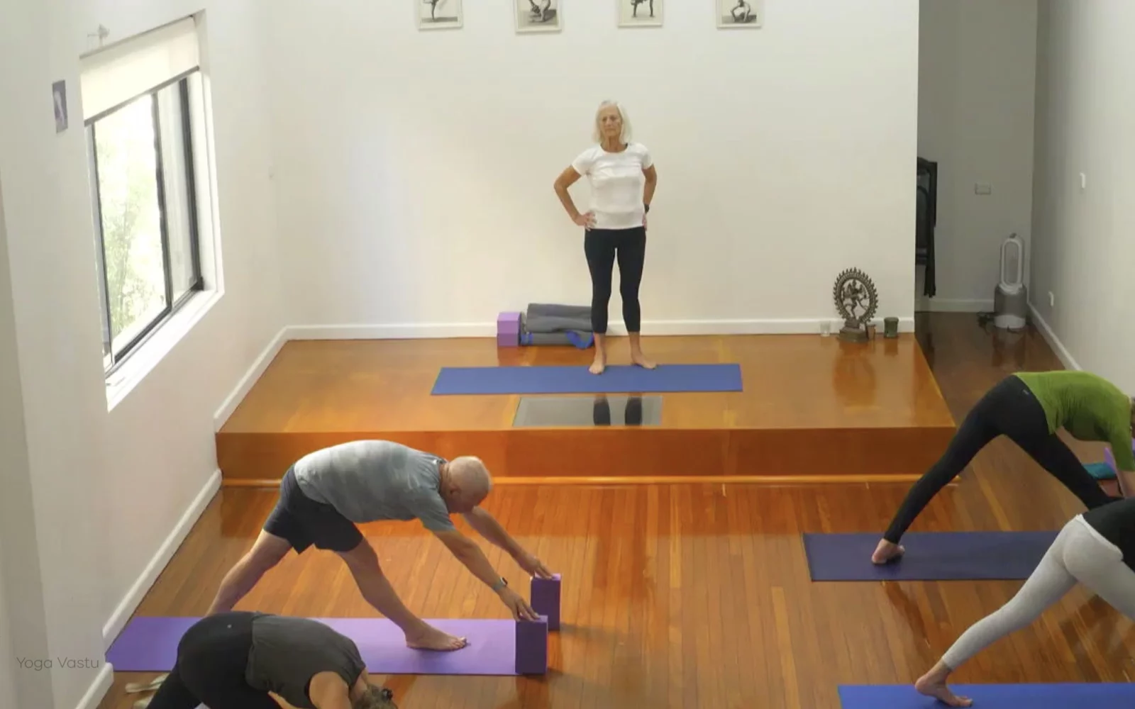 Online Iyengar yoga videos | Level 3 Class 9: Increasing Capacity in Standing Poses