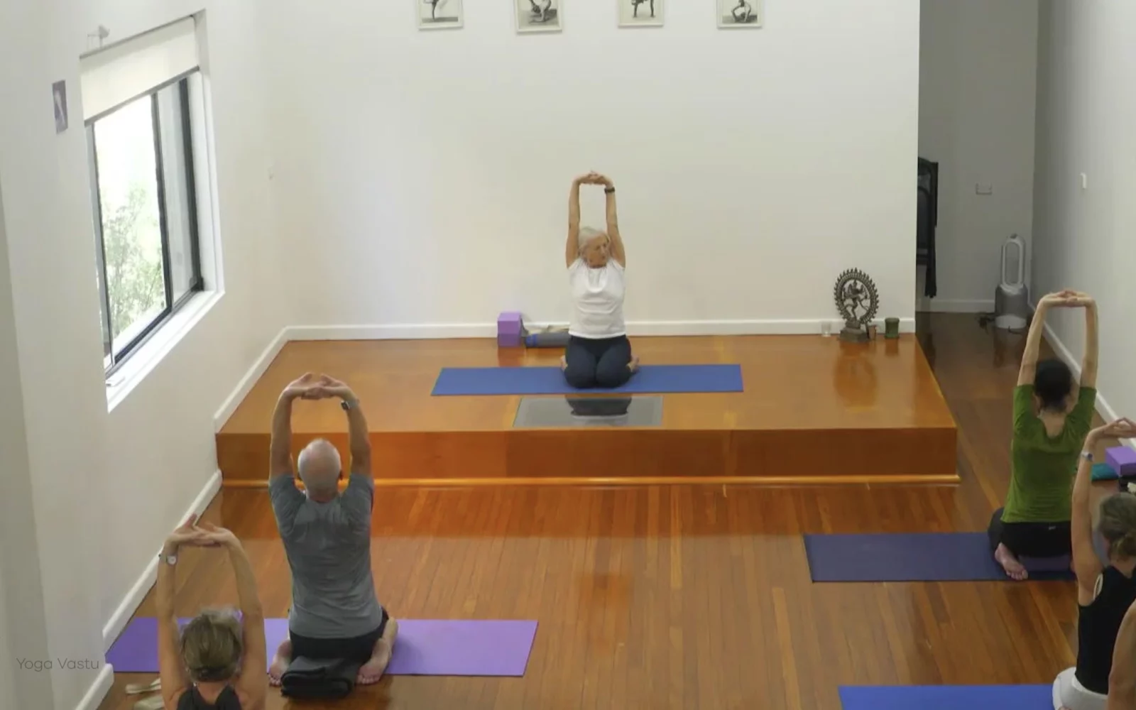 Online Iyengar yoga videos | Level 3 Class 9: Increasing Capacity in Standing Poses