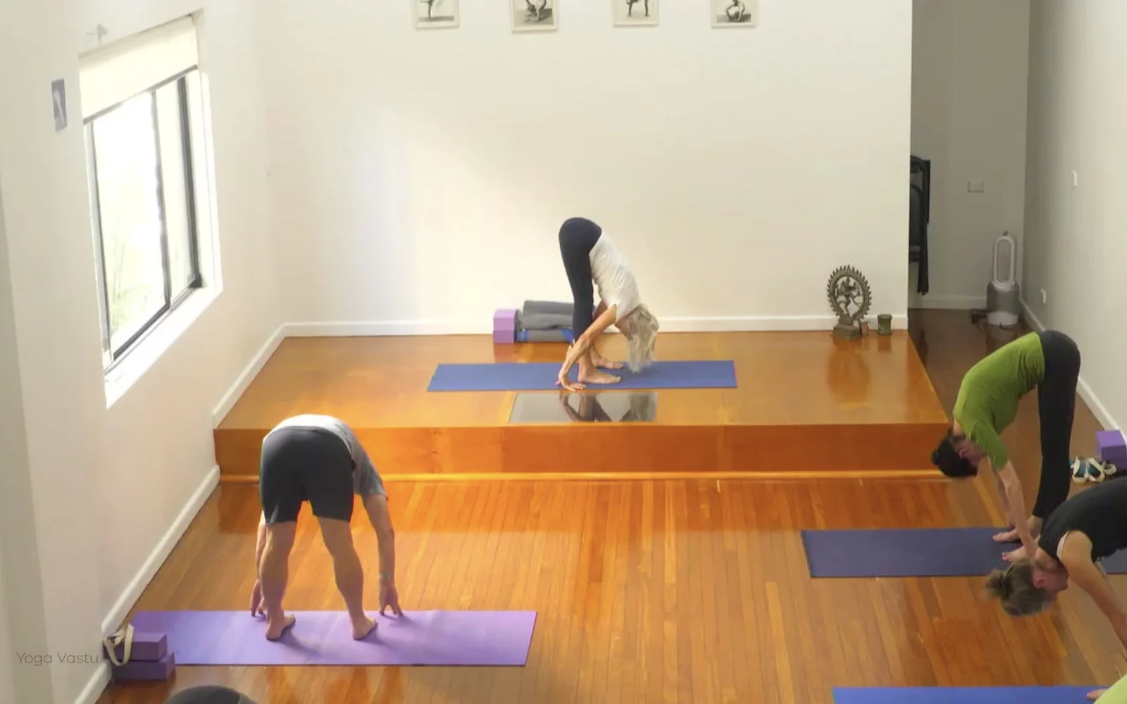 Online Iyengar yoga videos | Level 3 Class 9: Increasing Capacity in Standing Poses