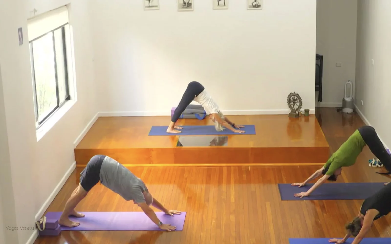 Online Iyengar yoga videos | Level 3 Class 9: Increasing Capacity in Standing Poses