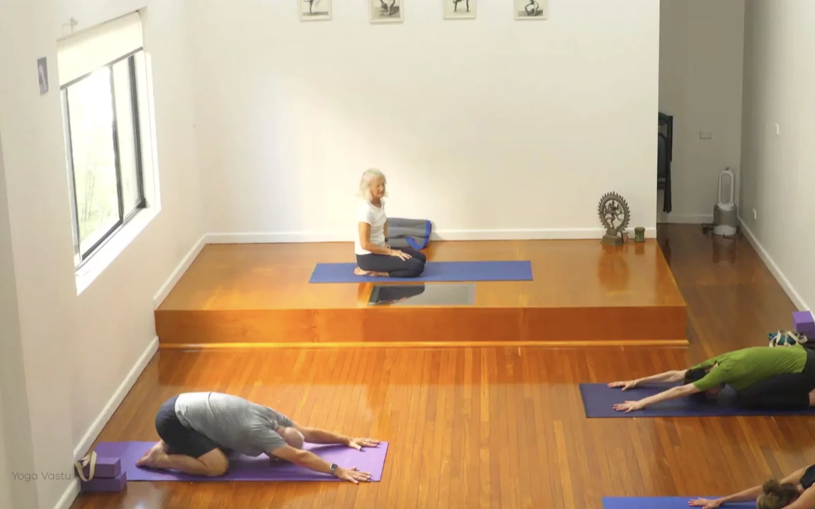 Online Iyengar yoga videos | Level 3 Class 9: Increasing Capacity in Standing Poses