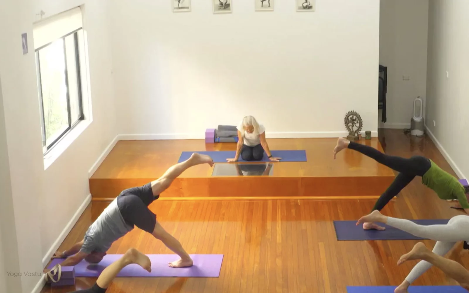 Online Iyengar yoga videos | Level 3 Class 9: Increasing Capacity in Standing Poses