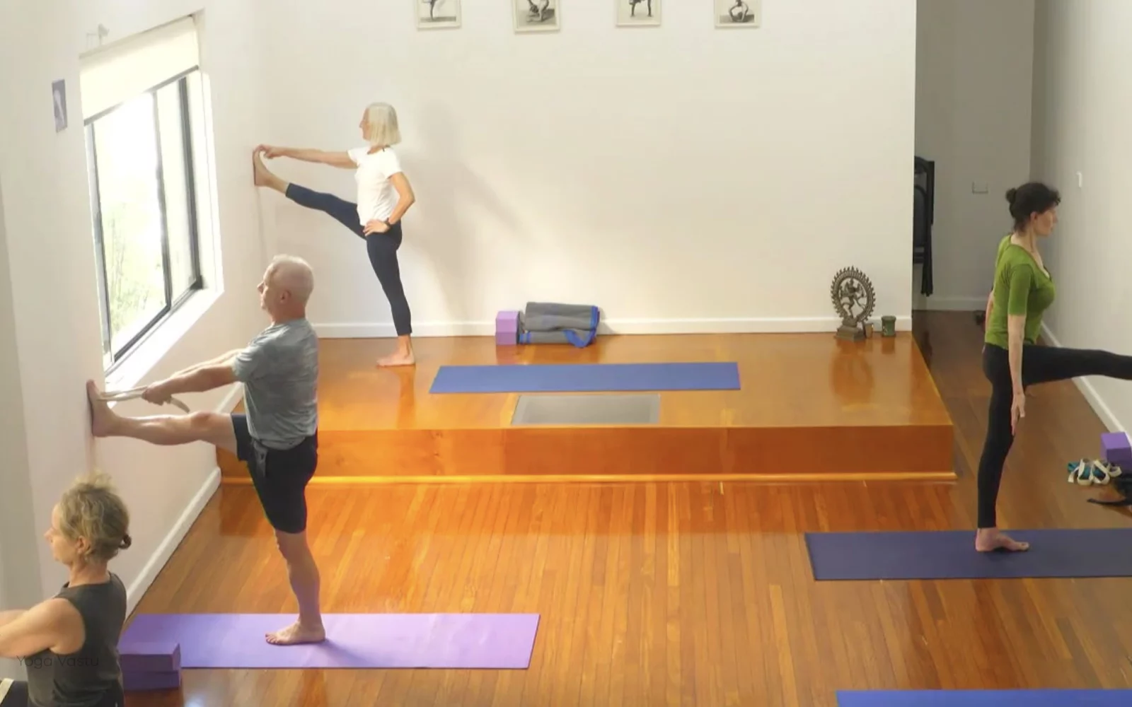 Online Iyengar yoga videos | Level 3 Class 9: Increasing Capacity in Standing Poses