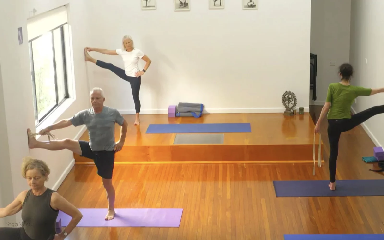 Online Iyengar yoga videos | Level 3 Class 9: Increasing Capacity in Standing Poses