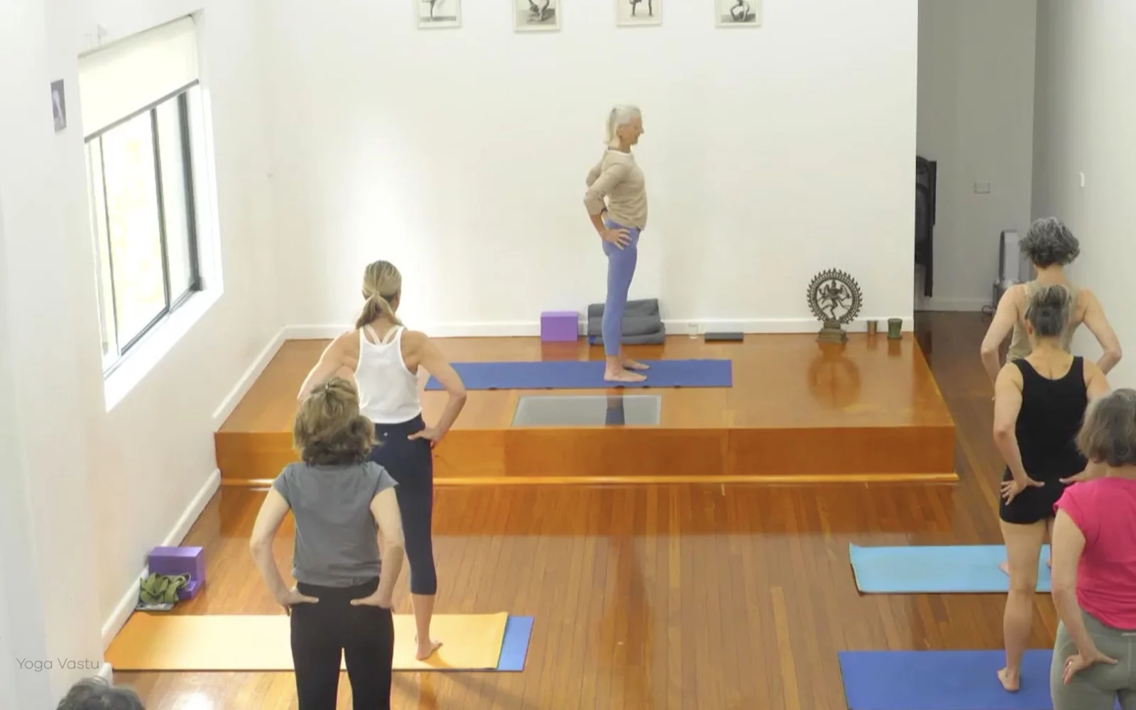 Online Iyengar yoga videos | Advanced Class 6: Expanding through the Chest and Collarbones