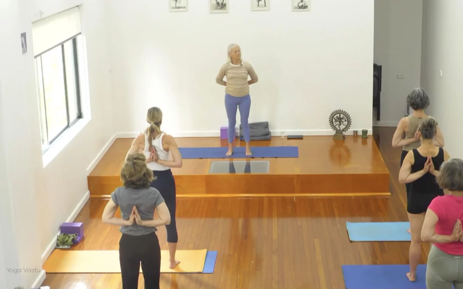 Online Iyengar yoga videos | Advanced Class 6: Expanding through the Chest and Collarbones